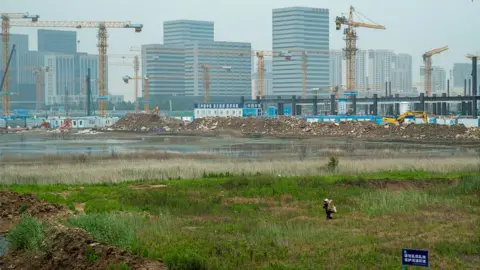 Joyce Liu/BBC A construction site in China