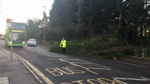 Dan Fisher Tree down in Huntingdon Road, Cambridge