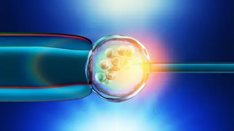 Getty Images Illustration of a in-vitro fertilization of an egg cell