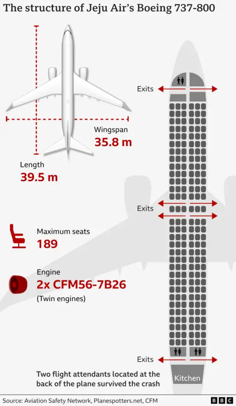 A graphic showing the structure of Jeju Air's Boeing 737-800 - including text showing the length which is 39.5m, the wingspan which is 35.8m and the maximum number of seats which is 189 and the text says the engine had two twin engines.