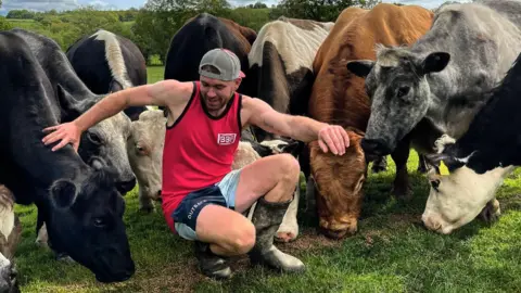 Ioan Humphreys and his cows