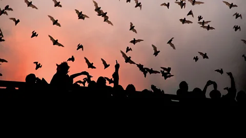 Bats fly out from under Austin's Congress Avenue Bridge. (Austin Convention and Visitors Bureau)