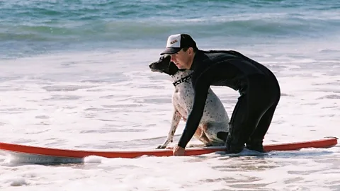 The dog surfing instructor helps canines large and small ride human-size surf boards at the Loews Coronado Bay Resort in San Diego.