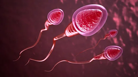 Thinkstock (Copyright: Thinkstock)