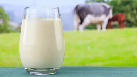 Getty Images Milk's pure white colouring didn't hurt when it came to advertising it as a nutritious food (Credit: Getty Images)