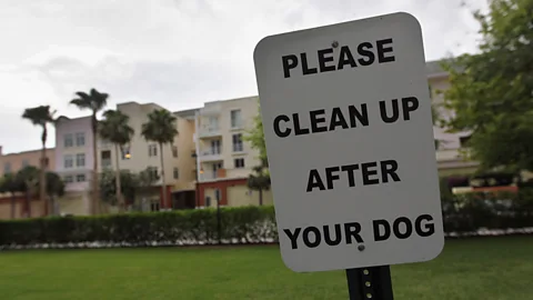 Joe Raedle/Getty Images Nearly 3,000 apartments, mostly in North America, have signed up to the Poo Prints service, which runs DNA tests of dog droppings. (Credit: Joe Raedle/Getty Images)