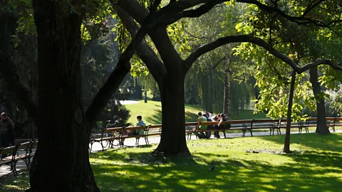 Martin Siepmann/ Alamy One of Vienna’s many green spaces dotted throughout the city (Credit: Martin Siepmann/ Alamy)