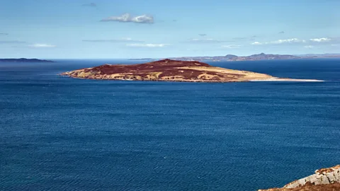 Alamy Gruinard Island was used to test a particularly deadly strain of anthrax, Vollum 14578 (Credit: Alamy)