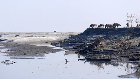 Jules Montague Despite its tranquillity, the Brahmaputra is a massive river whose volume is outdone only by the Amazon and Congo (Credit: Jules Montague)