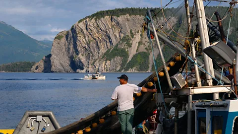 Reimar/Alamy The screech-in ceremony is closely tied to Newfoundland’s fishing history and traditions (Credit: Reimar/Alamy)