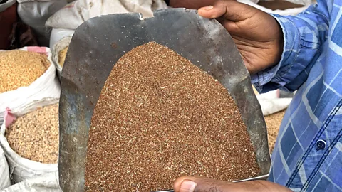 New Ethiopia Tours Teff is widely touted in the Western world as the next superfood (Credit: New Ethiopia Tours)