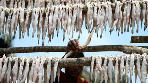 Indranil Mukherjee/Getty Images Mumbaikars' love for Bombay duck stretches back centuries (Credit: Indranil Mukherjee/Getty Images)