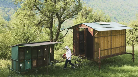 Benjamin Schmuck Roš is committed to working with local ingredients, which include honey (Credit: Benjamin Schmuck)