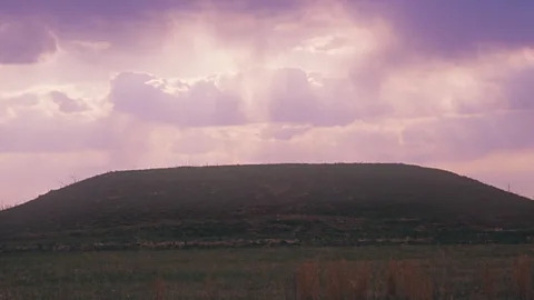 Fotosearch/Getty Images The earliest-known evidence of yaupon consumption is from the Cahokia Mounds, and it is associated with Native American purification ceremonies (Credit: Fotosearch/Getty Images)