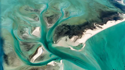Getty Images Shark Bay experienced an intense heatwave in 2011, causing waters to rise by up to 5C for two months (Credit: Getty Images)