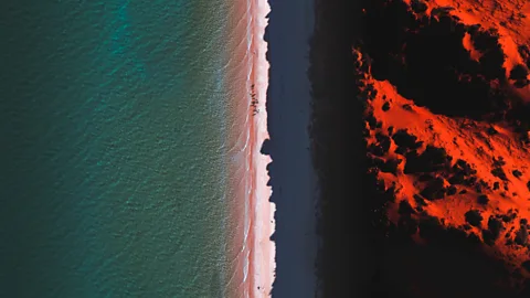 Getty Images With global numbers of sharks declining, the need to understand how they support their ecosystems becomes even more pressing (Credit: Getty Images)