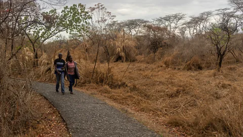 Zinyange Auntony/Getty A series of heat waves dried most of the vegetation surrounding the Victoria Falls in Zimbabwe in late 2019 (Credit: Zinyange Auntony/Getty)