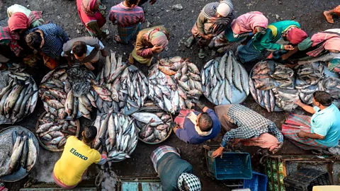 Munir Uz Zaman / Getty Images The amount of fish and seafood caught or farmed globally is set to rise to 202 million tonnes in 2030 (Credit: Munir Uz Zaman / Getty Images)