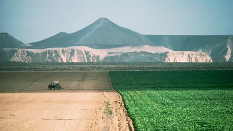Richard T Nowitz/Getty Images Many kibbutz communities were established in the Negev and helped green the desert, such as Kibbutz Sde Boker (Credit: Richard T Nowitz/Getty Images)