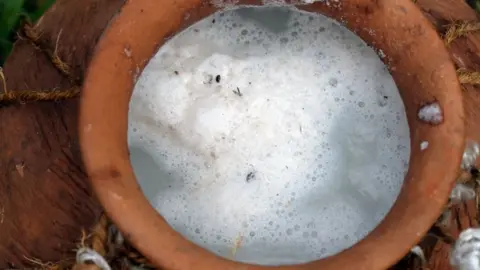 Amila Gamage freshly tapped toddy