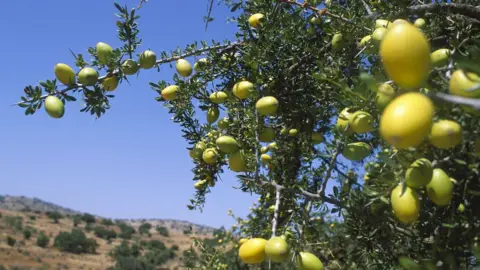 Getty Images Argan fruit