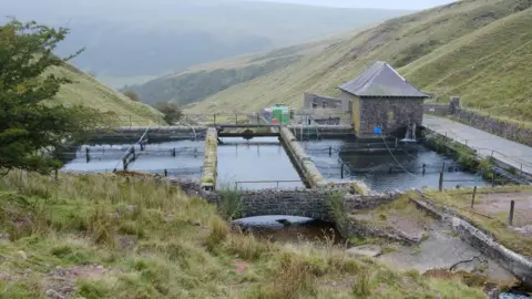 Richard Hayman Yr argae heddiw