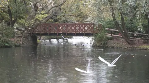 Google Locke Park, Redcar