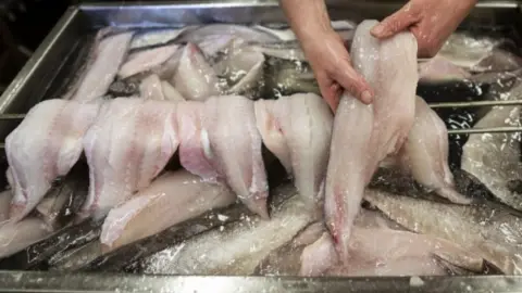 Getty Images Fish