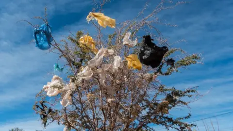 Getty Images Plastic bags are stuck on a thorny bush in San Pedro de Atacama, Chile