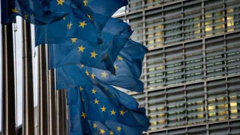 Getty Images EU flags