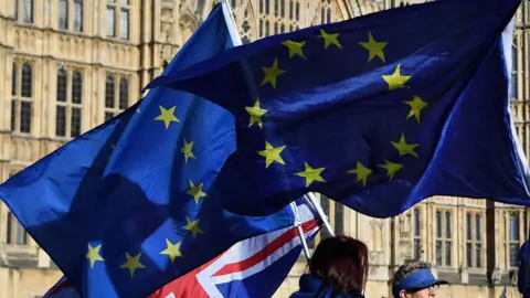 EPA Flags outside Westminster