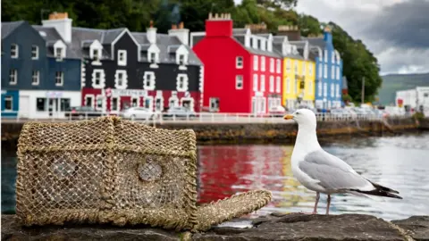 Getty Images Lobster pot, gull and houses at Tobermory