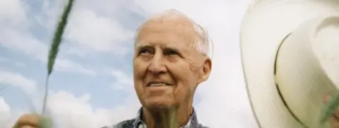 Getty Images Norman Borlaug pictured in a wheat field