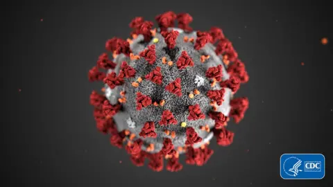Smith Collection/Gado An illustration of the structure of coronaviruses such as the one behind the outbreak of illness in China