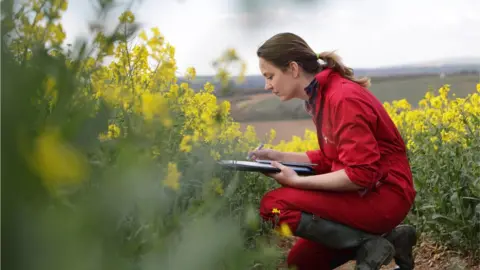 Getty Images Stock image of an agriculture student