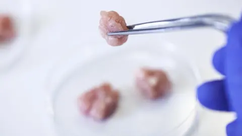Getty Images Lab-grown meat