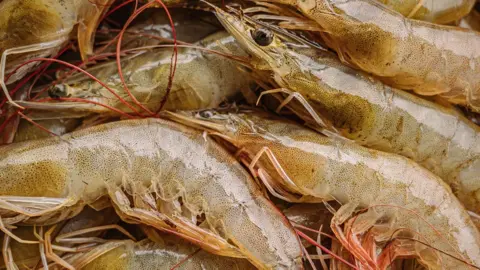 AquaConnect Farmed shrimp from India