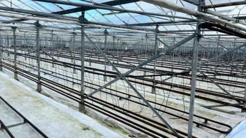 Helen Mulroy/BBC Empty glasshouse
