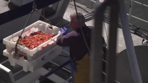 BBC A fisherman unloading prawns