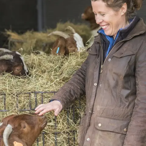 Paul Gregory Boer goats