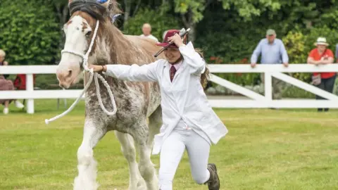 PA Media A entrant with a horse during the Great Yorkshire Show