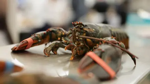 Getty Images Lobster