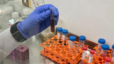 Nathan Turvey/BBC Test tube with blood in it