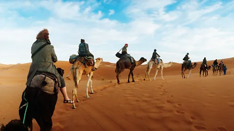 camel, train, Sahara Desert, Morocco, family, tourism, adventure