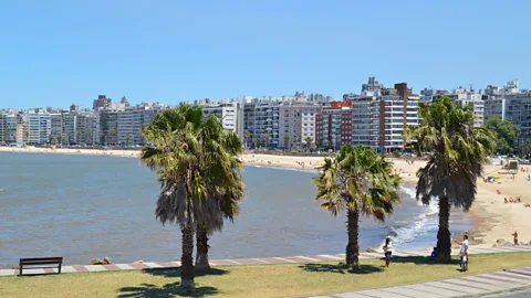 RaidPena/Alamy Uruguay is consistently named one of the most ethical destinations for its social and environmental policies (Credit: RaidPena/Alamy)