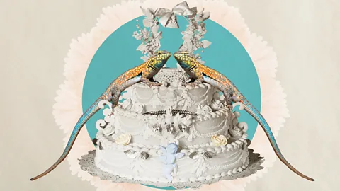 Getty Images/ Alamy/ Javier Hirschfeld A lizard-couple on a wedding cake (Credit: Getty Images/ Alamy/ Javier Hirschfeld)