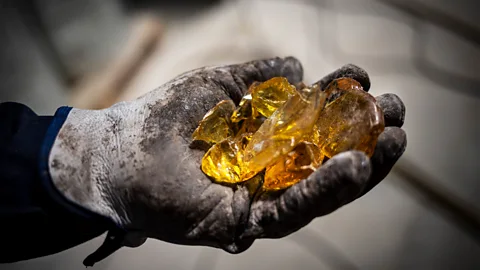 Susana Girón Spain's liquid gold (Credit: Susana Girón)