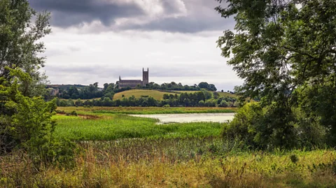Miroslav_1/Getty Images (Credit: Miroslav_1/Getty Images)