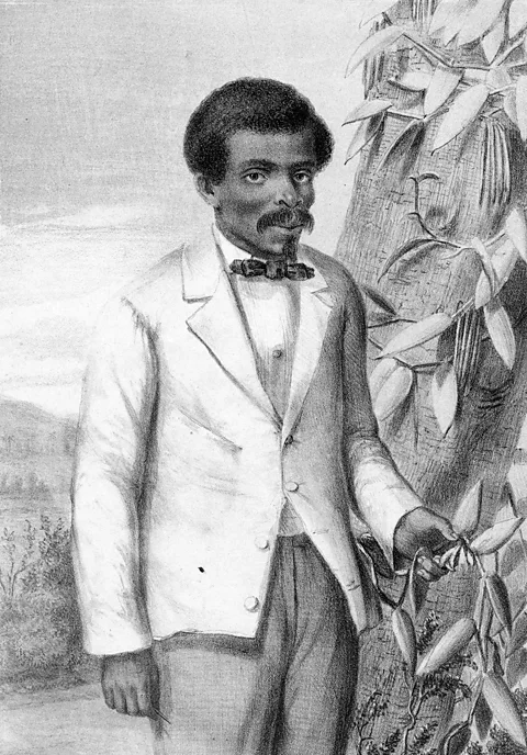 Gado Images/Alamy Edmond Albius discovered the method of hand-pollination for vanilla now used worldwide (Credit: Gado Images/Alamy)