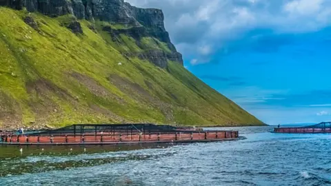 Getty Images Salmon fish farm pools in the see lochs near Portree, Sound of Raasay, Isle of Skyue, Highlands of Scotland